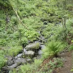 Appartement Hochsauerland *