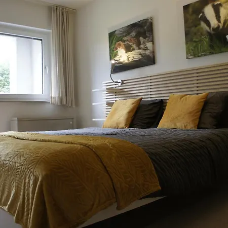 Apartman Hochsauerland *