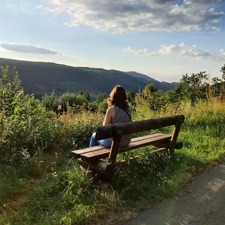 Hochsauerland Apartman