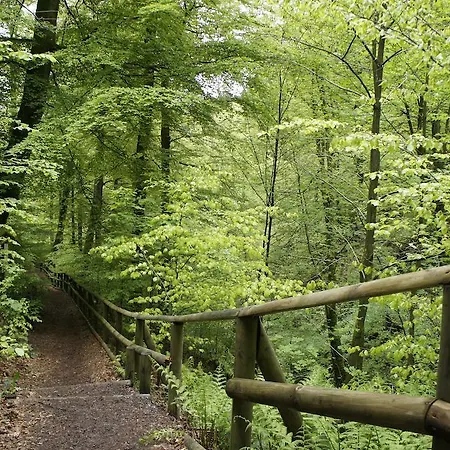 Hochsauerland Apartman Elpe