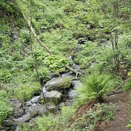 Appartamento Hochsauerland *