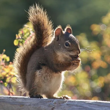 Apartman Hochsauerland