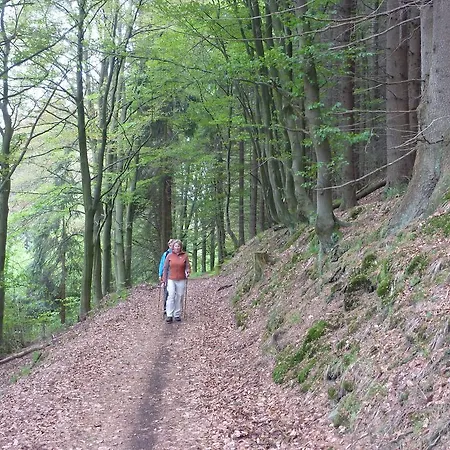 Appartement Hochsauerland *