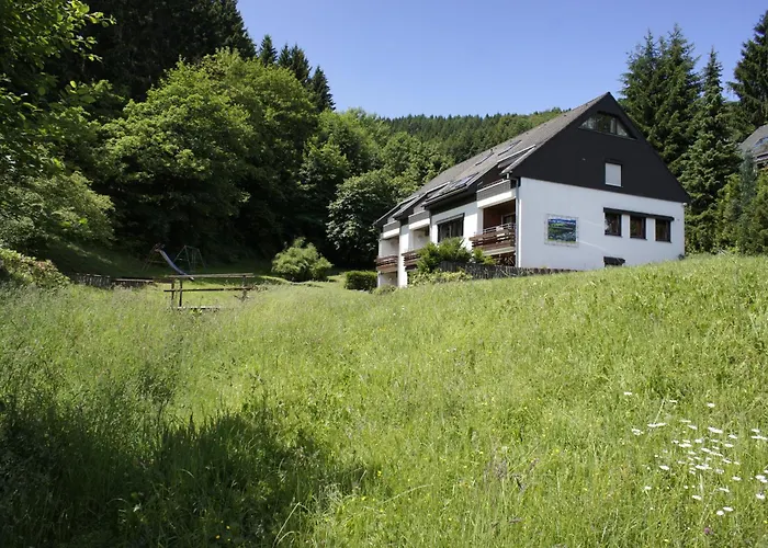 Apartamento Hochsauerland Elpe