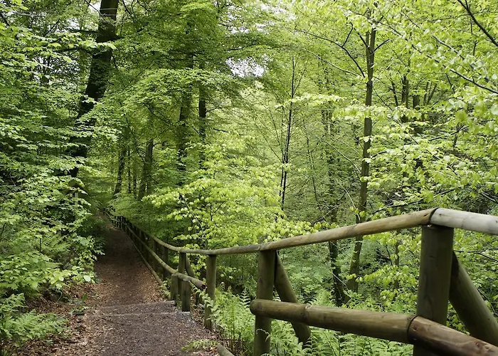 Hochsauerland Apartament Elpe