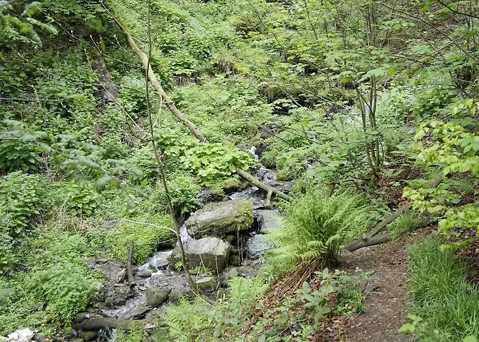 アパート Hochsauerland *