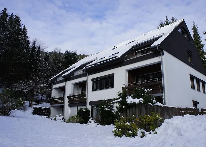 Apartamento Hochsauerland *