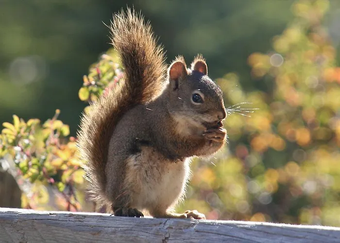 Apartamento Hochsauerland