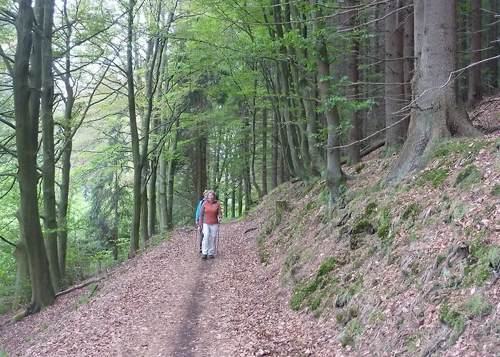 Апартаменты Hochsauerland *